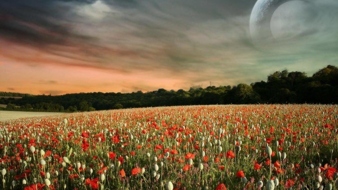 中餐炒菜那么好吃，为什么欧美人不学去？